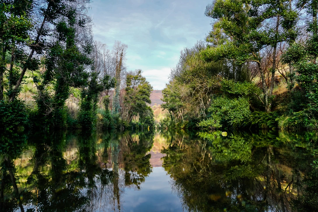View 4c3935b2f9468940c3ab2964ea7f696d.jpg by Maicon Leonard