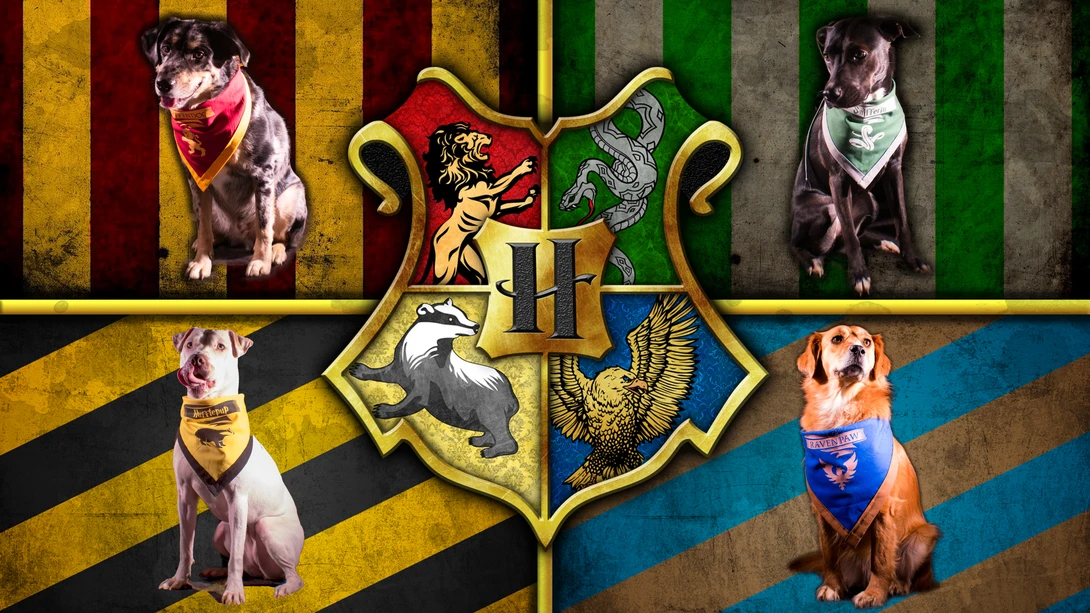 View Harry Potter Dog Portrait 1 by Logan Baker