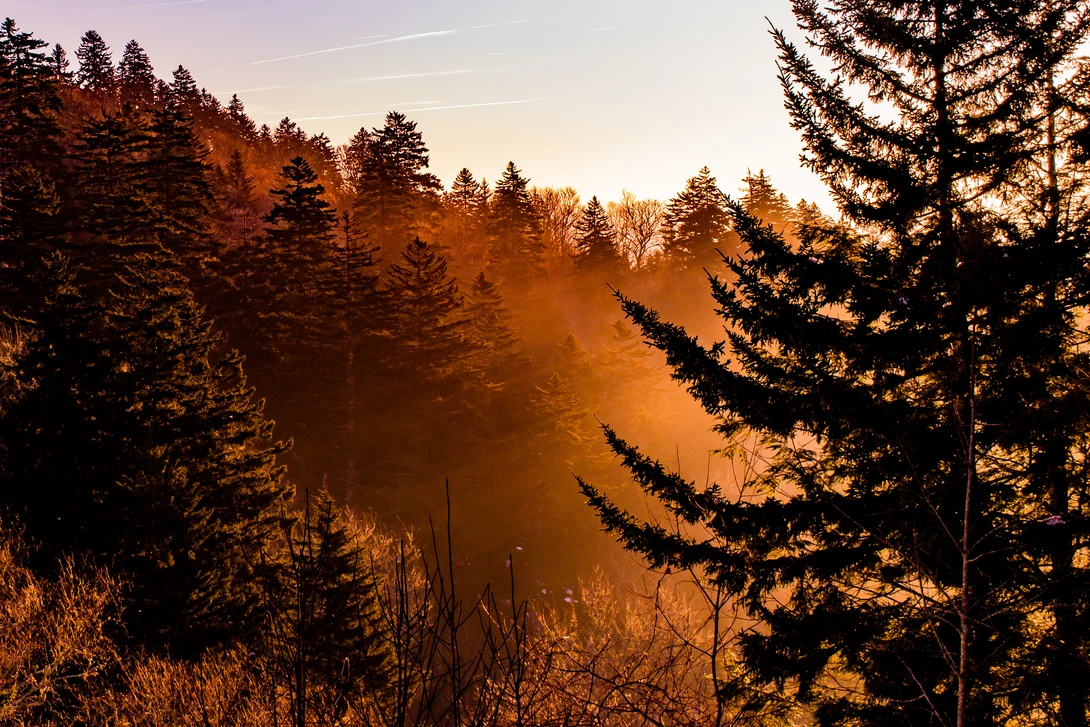 View Early Sun Rays Touching the Mountains by Rishabh Gupta