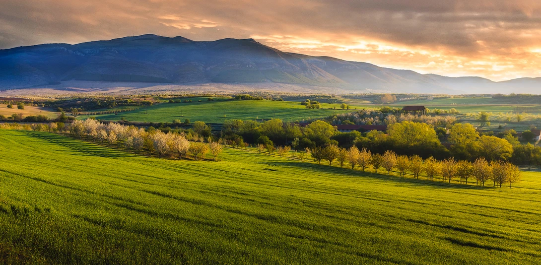 View Bulgarian spring morning by Vladislav Chanev