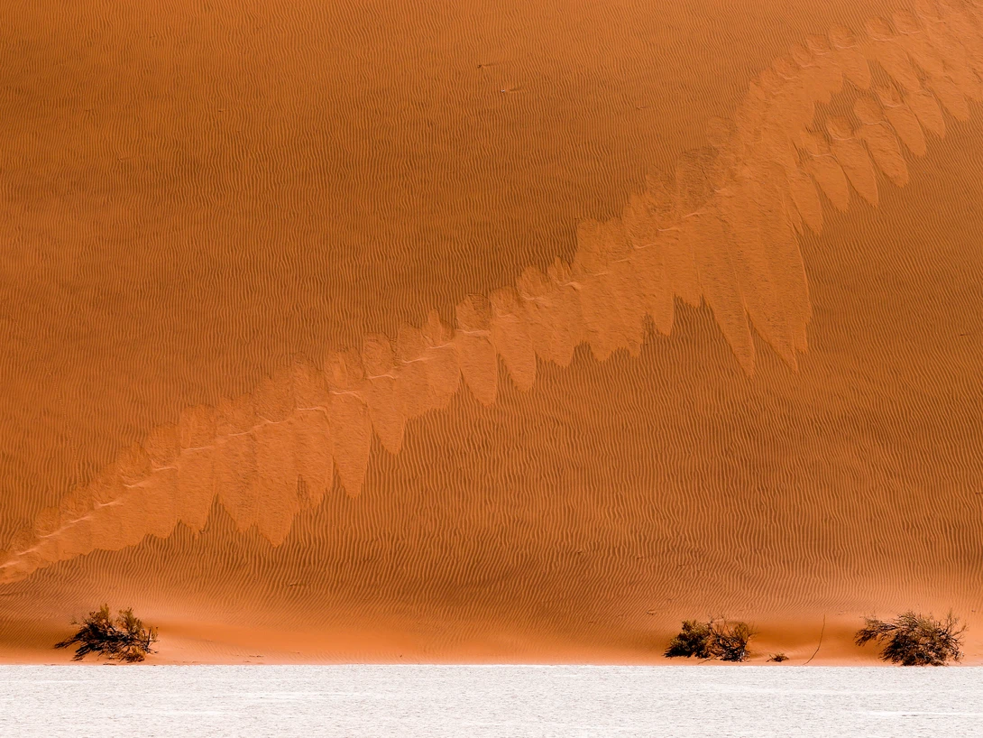 View 934b312074df8aa643a99f136470b1b3.jpg by Vincent Langen