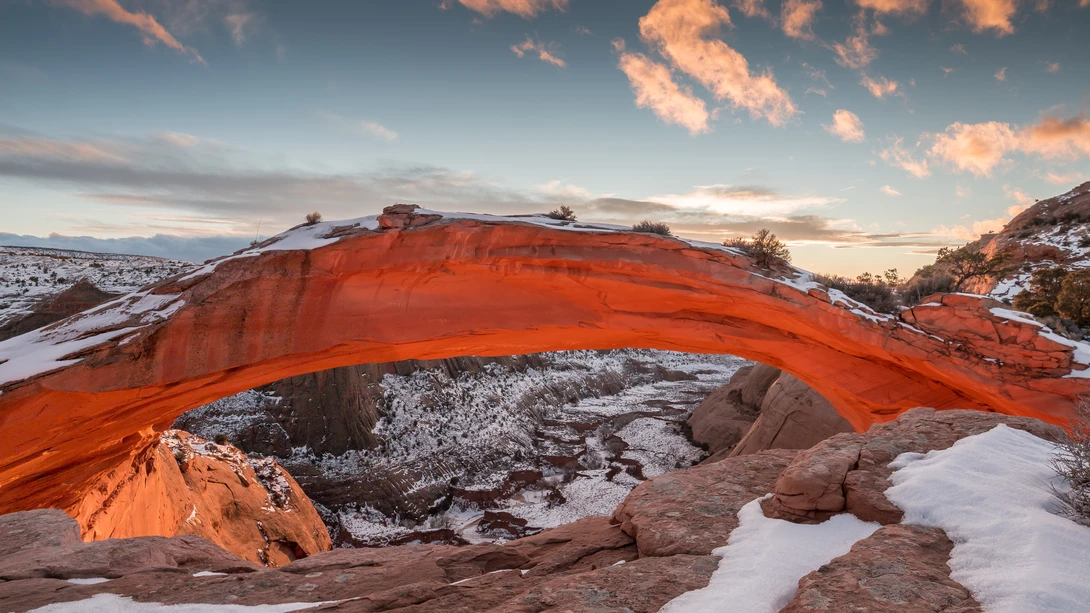 View Arch by Jere Tate