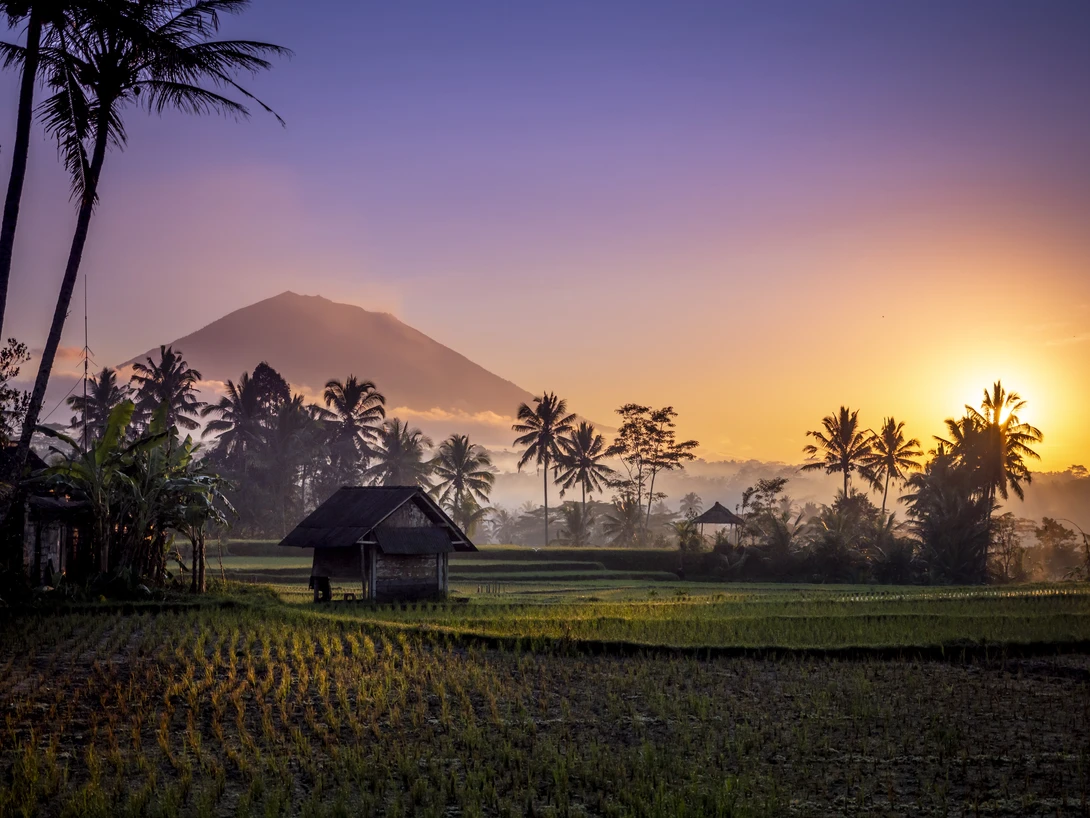 View Mount Agung Volcano by David Hein