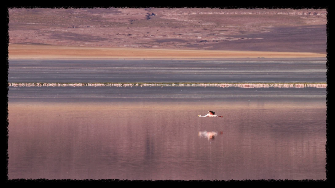 View Bolivia - Red Lake by Sridhar Chilimuri