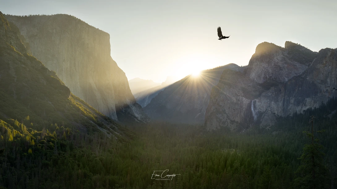 View The Valley by Evan Carpenter
