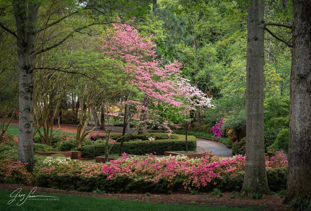 View Pretty In Pinks by Greg Sarver