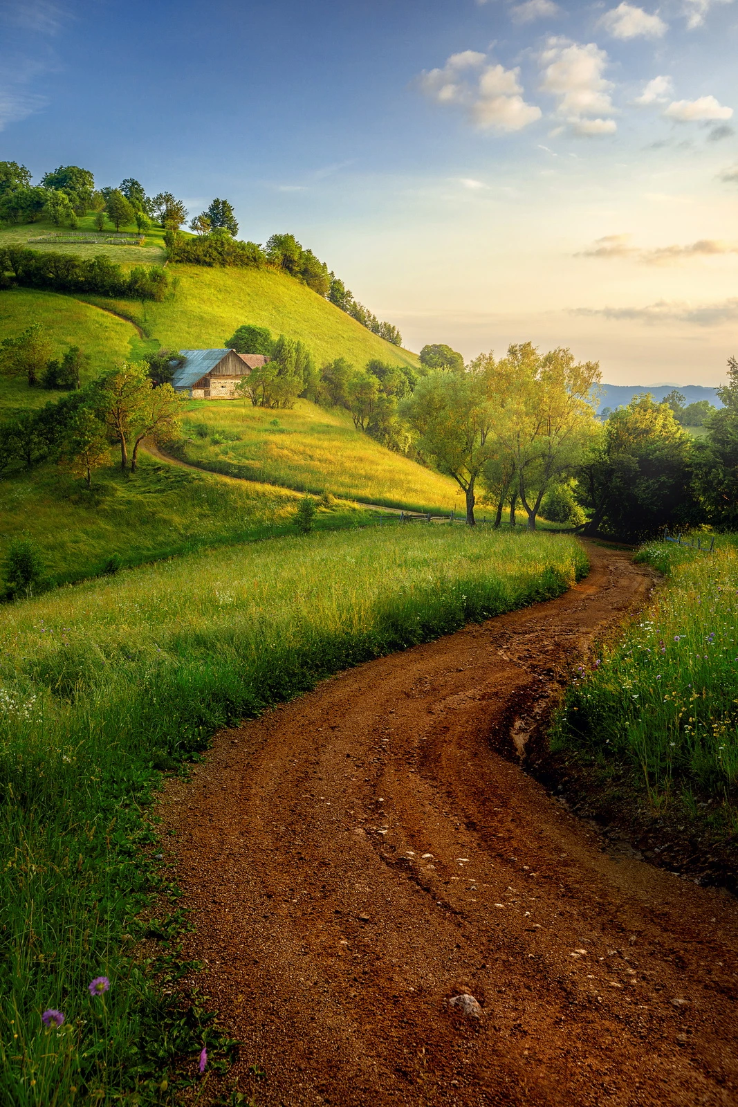 View Picture perfect by Paulian Prajitura