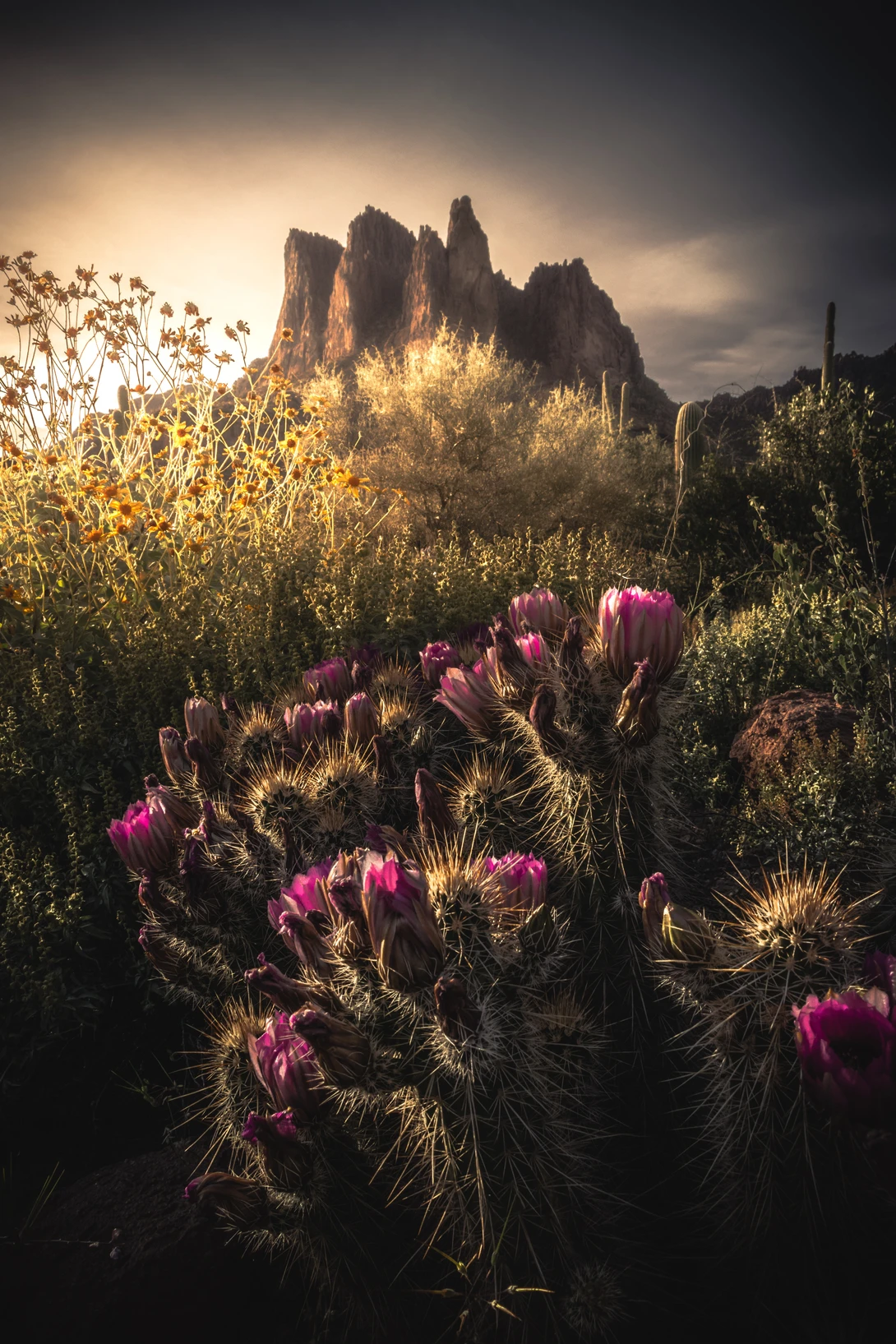 View Three Sisters by Kevin Antol