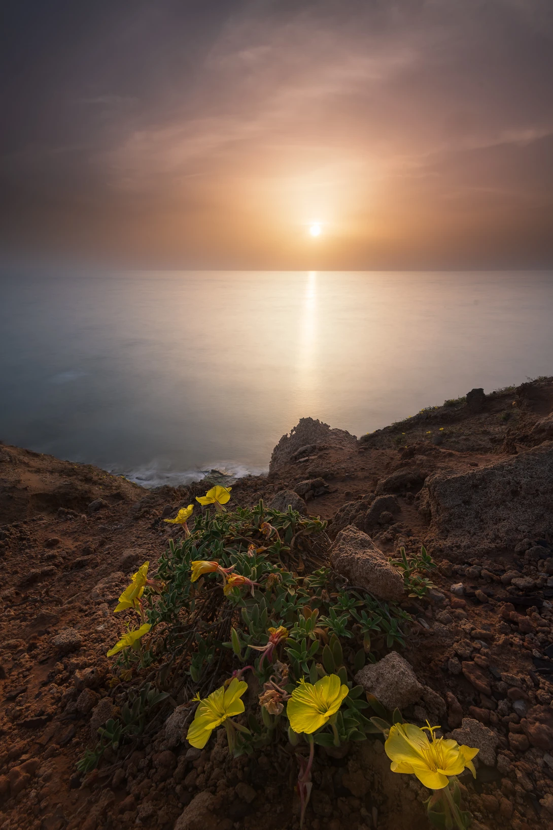 View fe201b998e5a6665ad017ce3a03d2ca0.jpg by Idan Livni