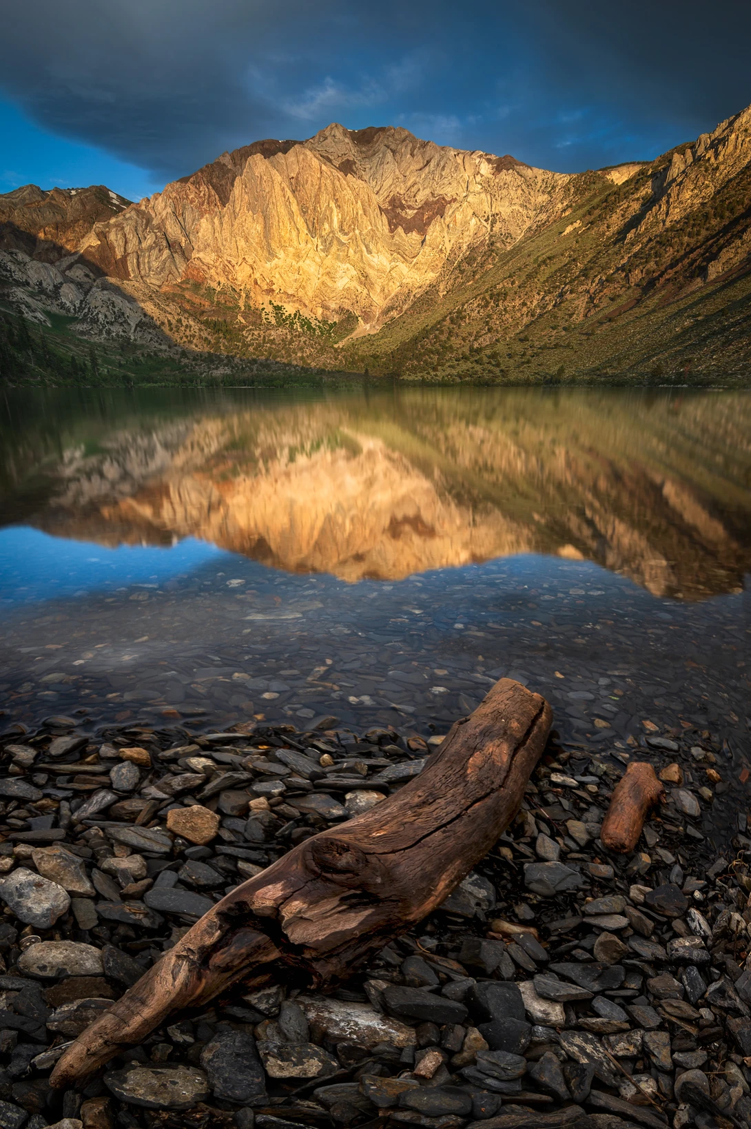 View Golden Sierra mountains by Idan Livni