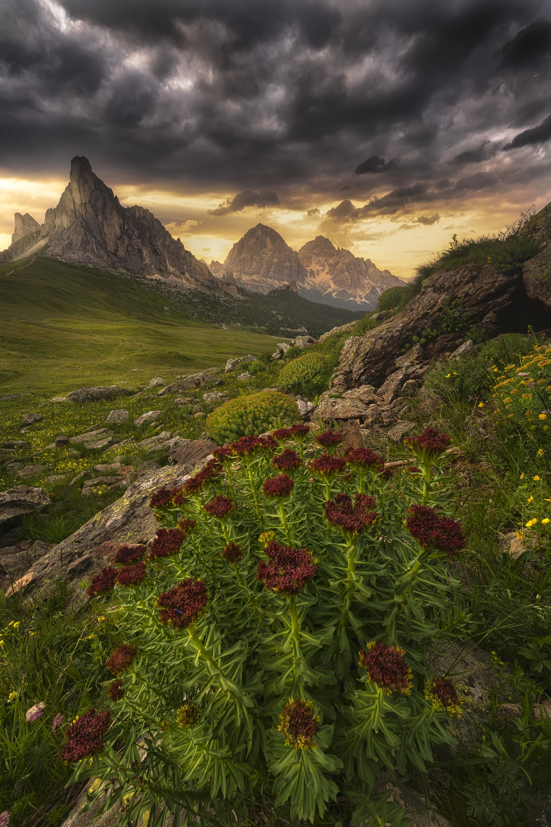 View 3a2725cda2b5d9070b00909b5daecb8a.jpg by Idan Livni