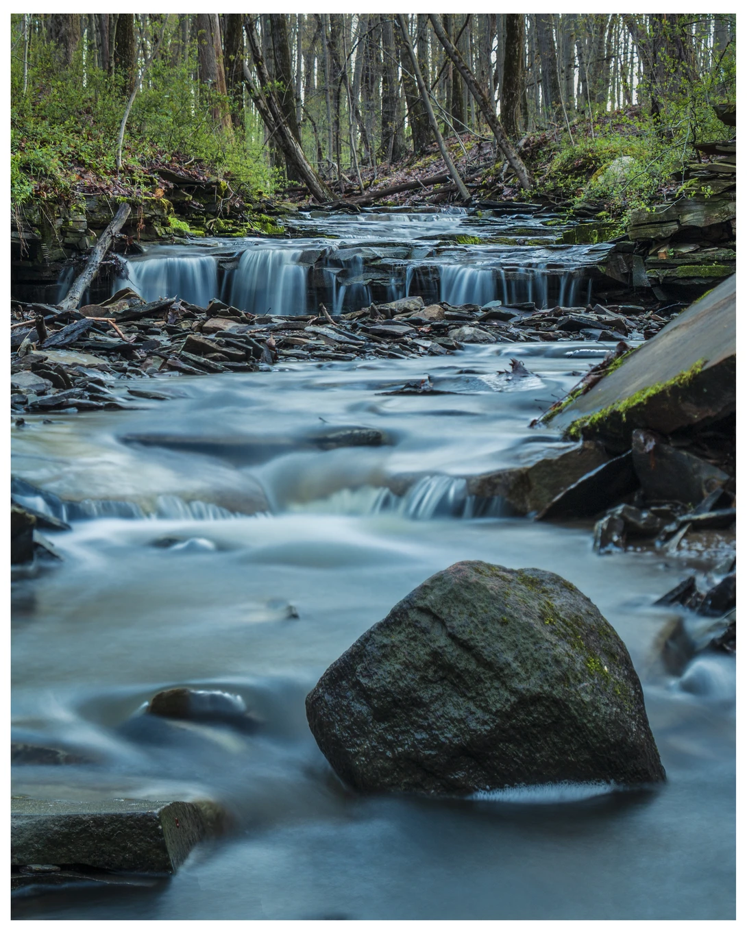 View 82f0d82ca470ca4ae2142f811fe1ad72.jpg by Daniel Frost