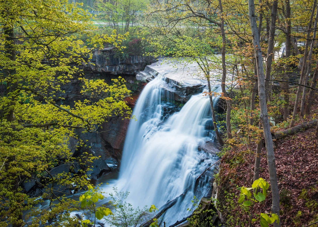 View 23c16d933d8c1fb1bff02ba32c1c7e12.jpg by Daniel Frost