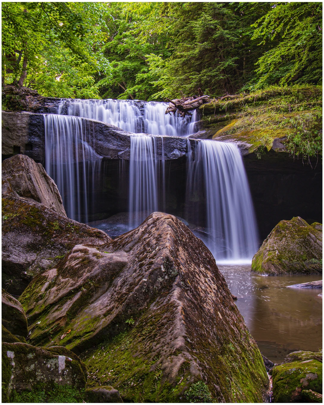 View Centerville Mill Falls by Daniel Frost