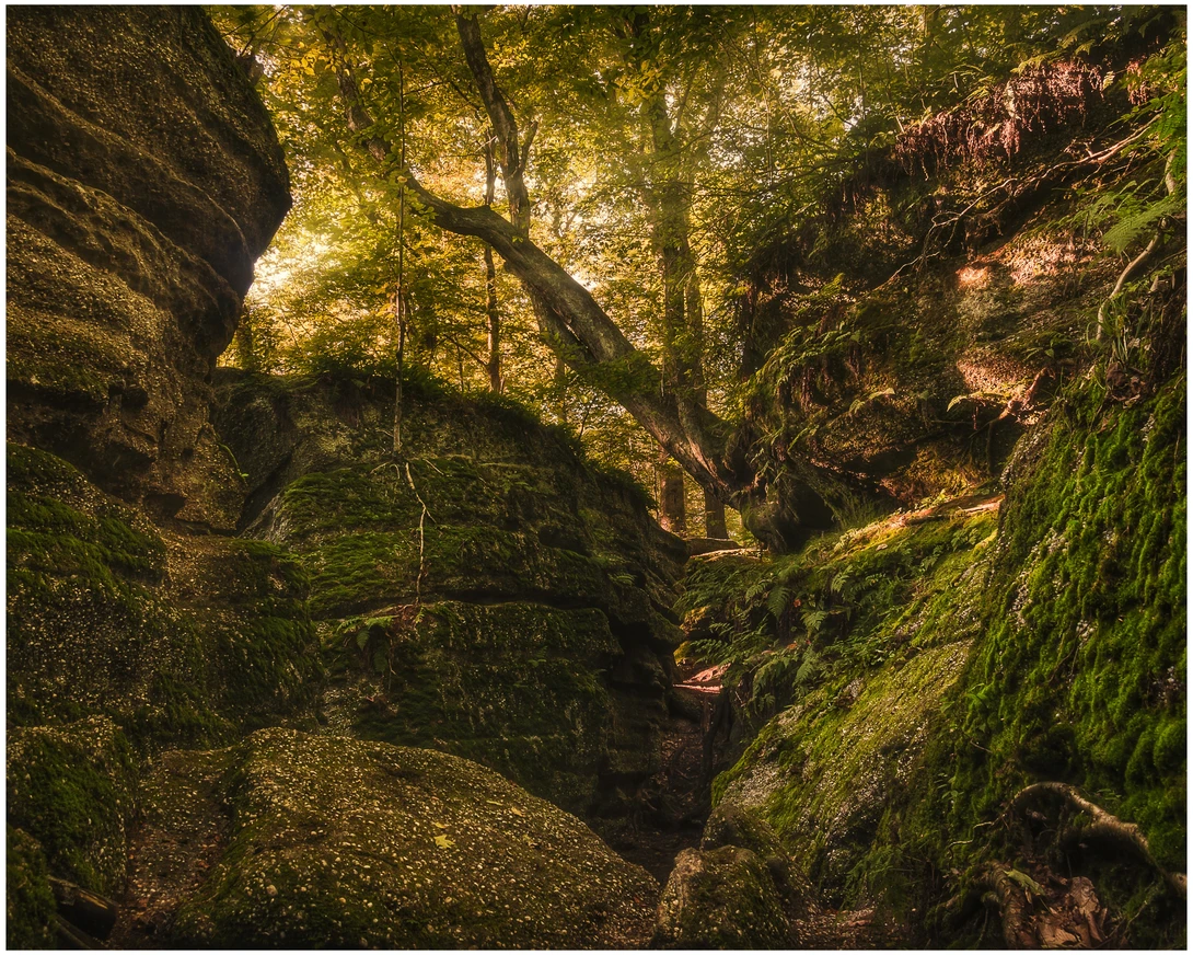 View Nelson Kennedy Ledges State Park by Daniel Frost