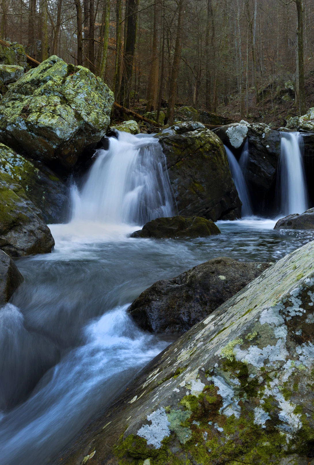 View 89ddaa5d8de354f51dd8864bc301550e.jpg by John Pless