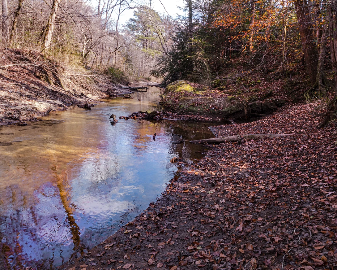 View 8c8657d499ce154e5eda4e3b7b82cc9b.jpg by John Pless