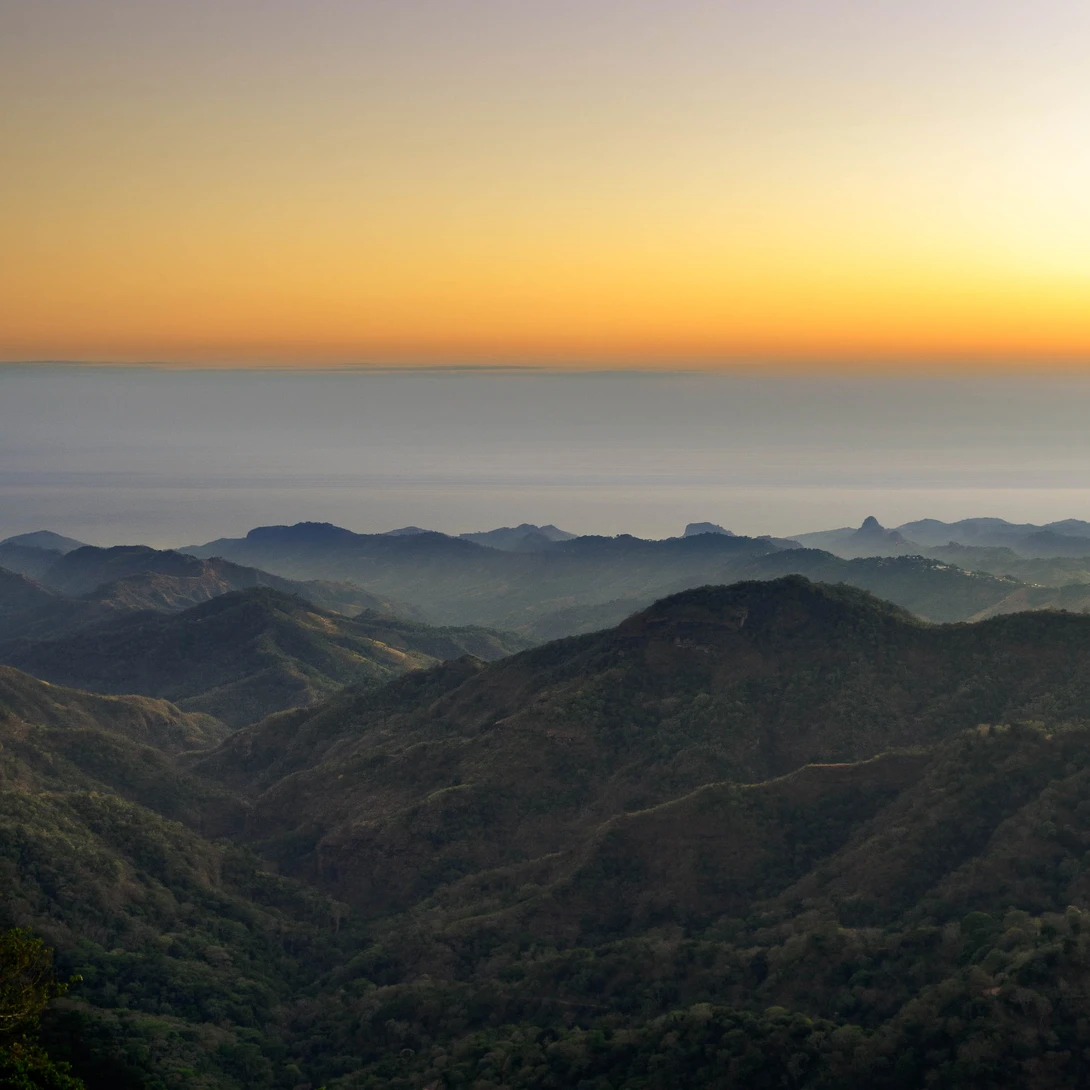 View Ocean fog by Jose Roca