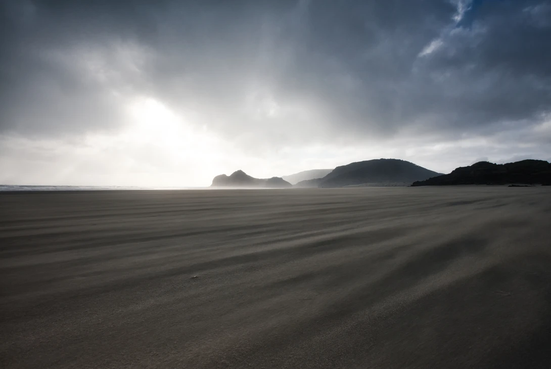 View Windswept Bethells by Chad Wanstreet