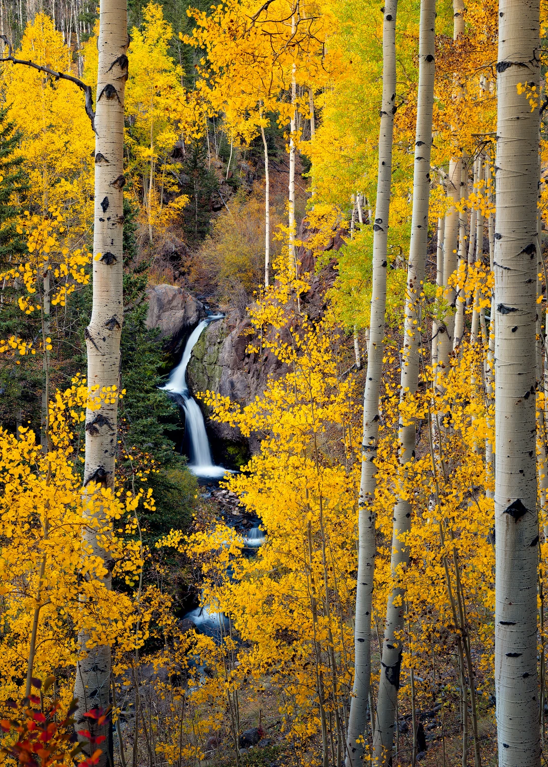 View Fall falls! by John Daniel