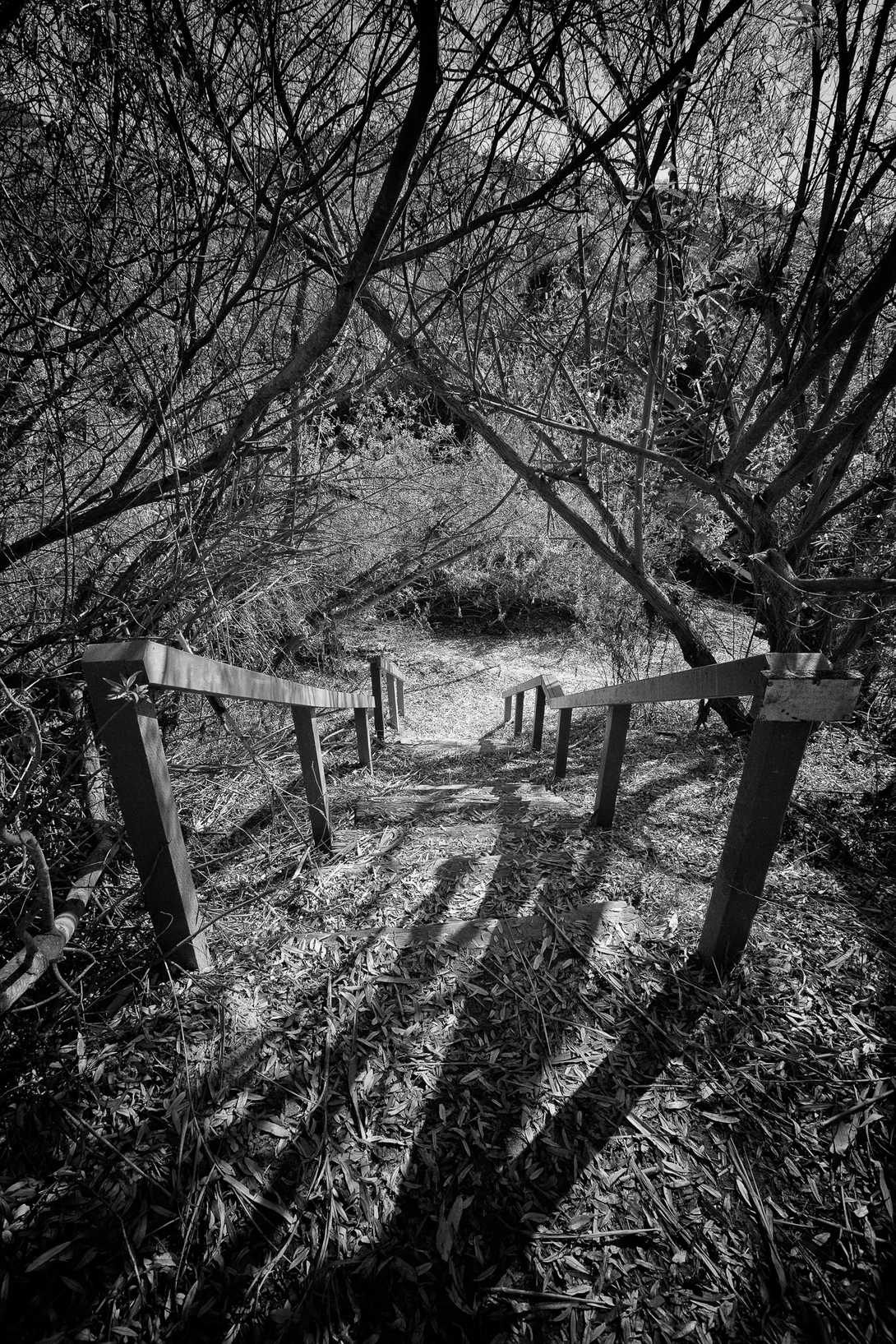 View Stairway by Will Steven