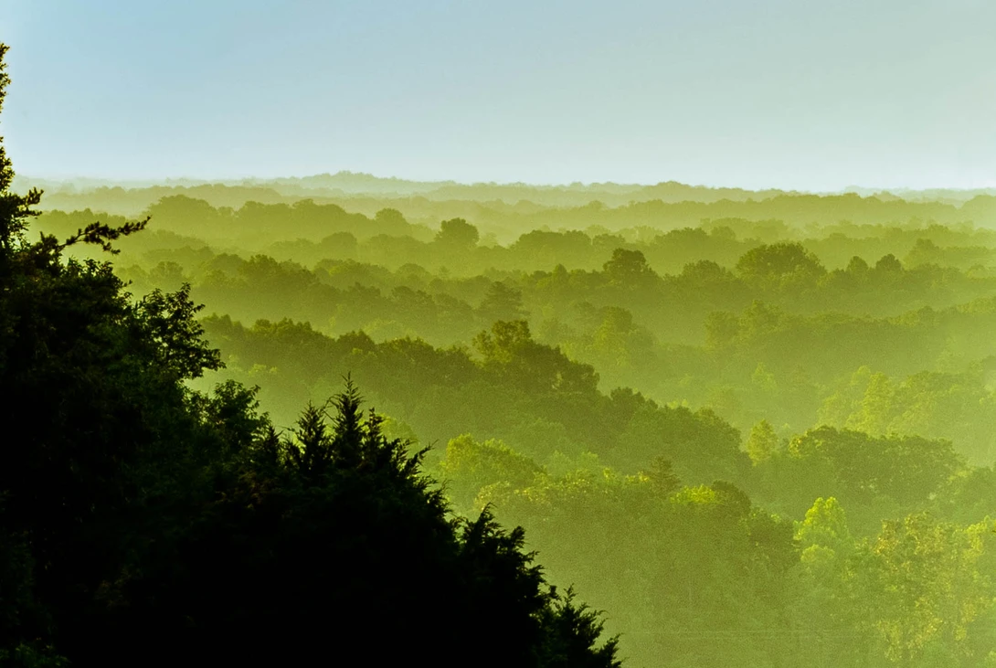 View ad73fc84e403c3f8152940bb486f9613.jpg by January Williamson