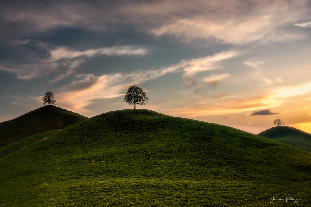 View d479457752d2f165a5e965405e16de98.jpg by Fabrice Petruzzi