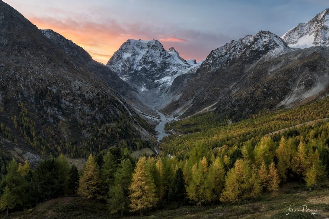 View Golden Season ! by Fabrice Petruzzi