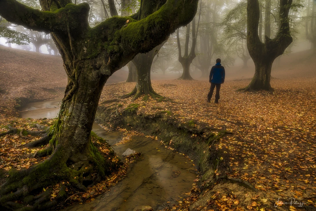 View 2f8fb12e82c8330aa5287e435e726139.jpg by Fabrice Petruzzi