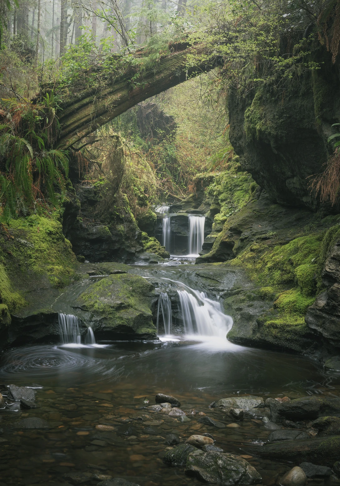 View Shrouded by Eric Thiessen