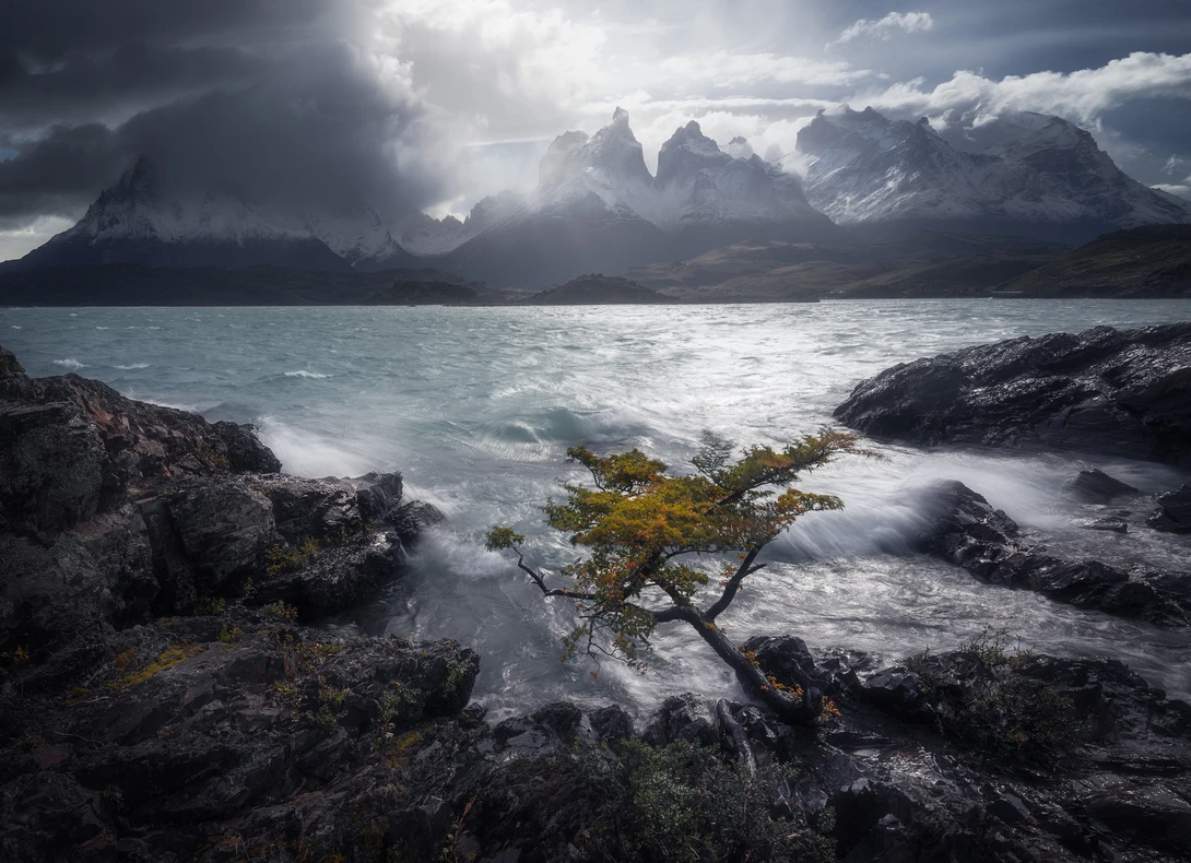 View Frenzy by Eric Thiessen