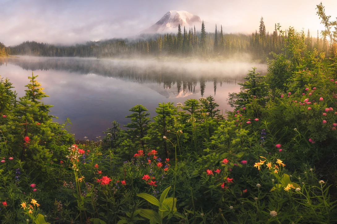 View Misty Mornings by Eric Thiessen