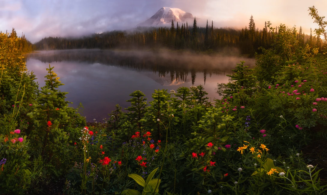 View Misty Mornings by Eric Thiessen