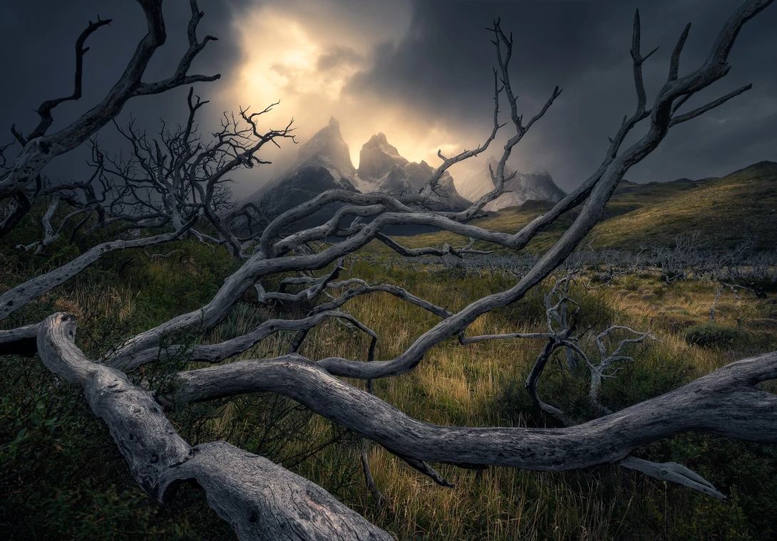 View In Deep by Eric Thiessen