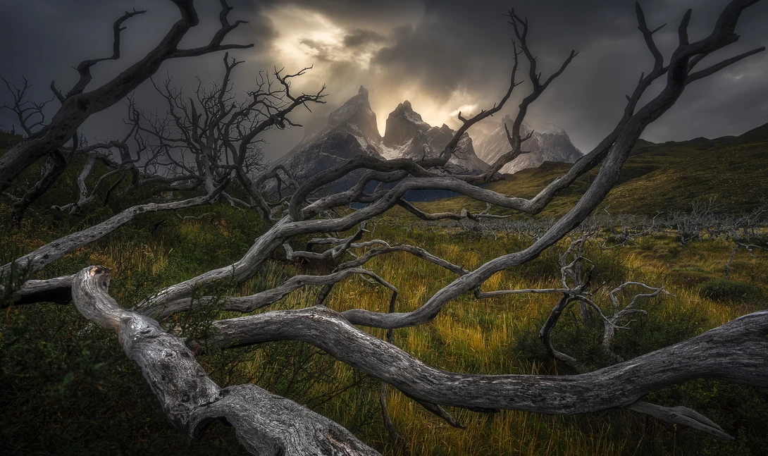 View In Deep by Eric Thiessen