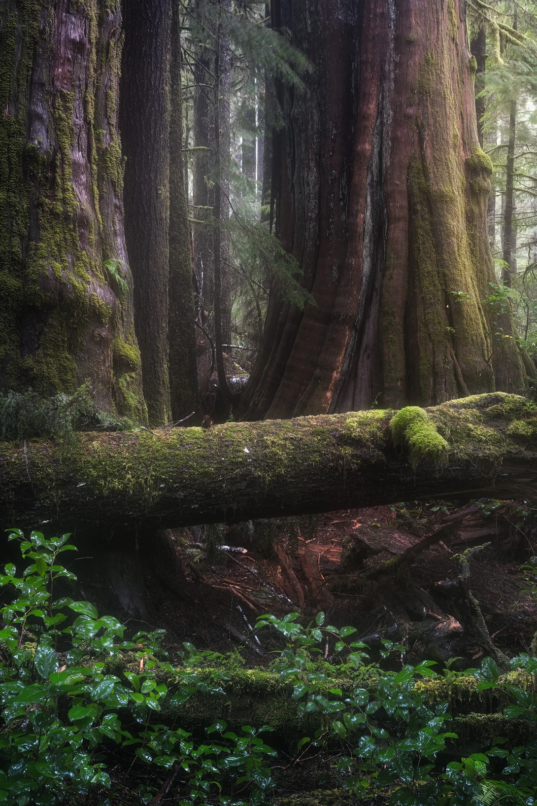 View The Last Stand by Eric Thiessen