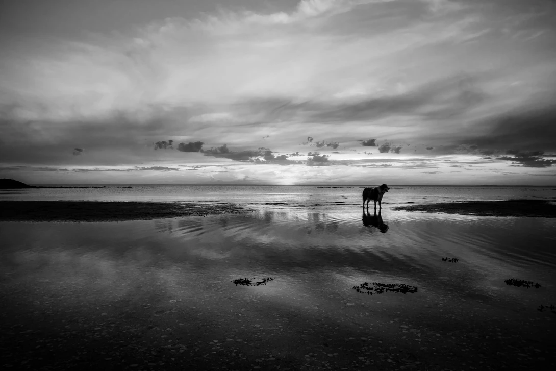 View Unleashed by Alex Kaginyan