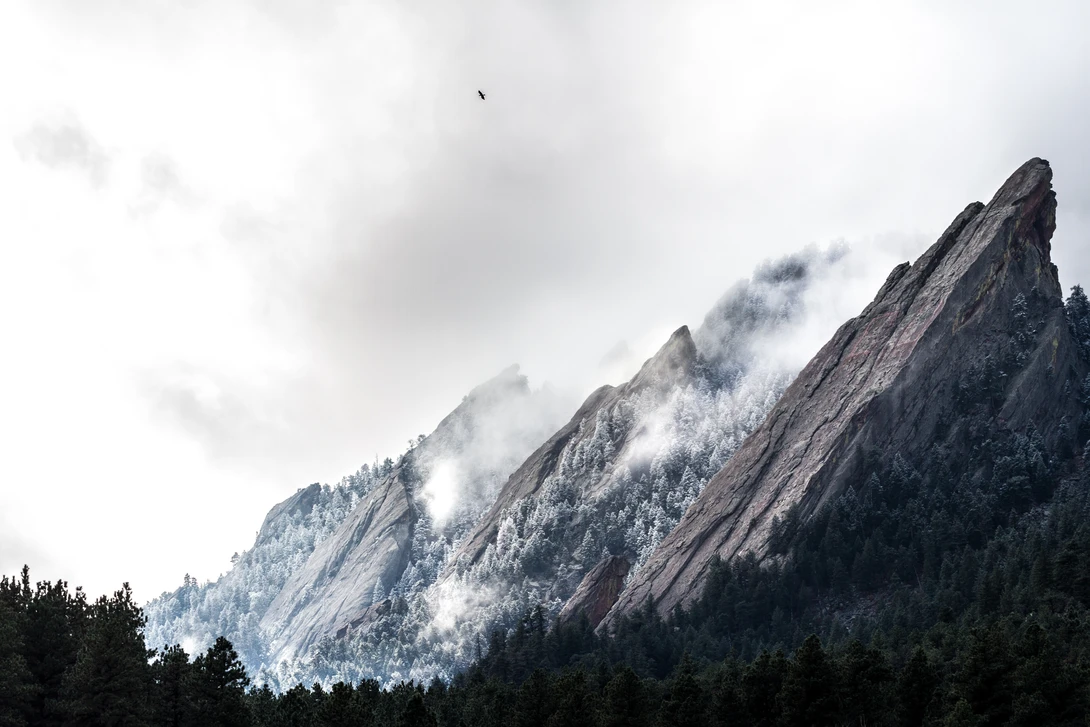 View ed477e48ebc2f9c8f115b4f967de9099.jpg by Will McKay
