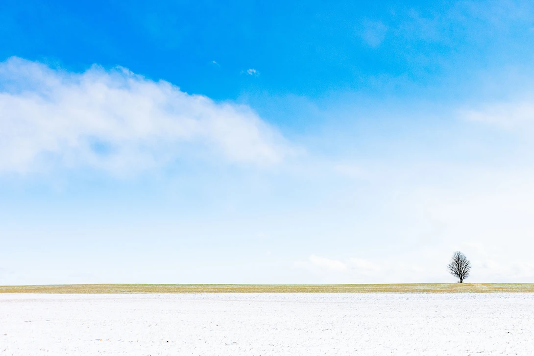View 482fc318a8cf765ff5d48c049676f842.jpg by Stephen Peck