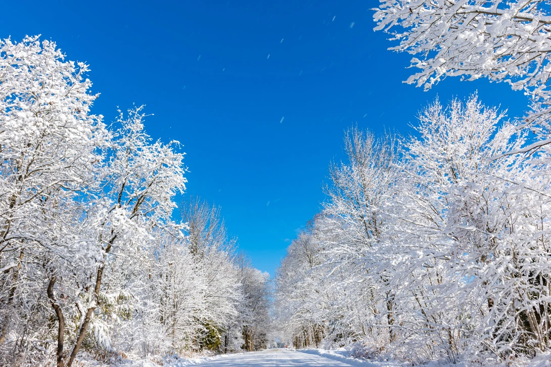 View 47b06d1fa67c7522da2bccaca22bb82d.jpg by Stephen Peck