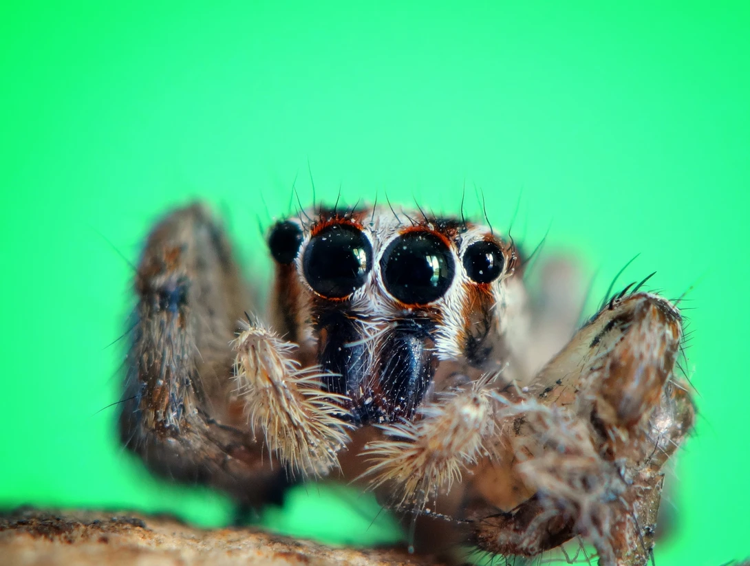 View Super budget macro by iyad tawil