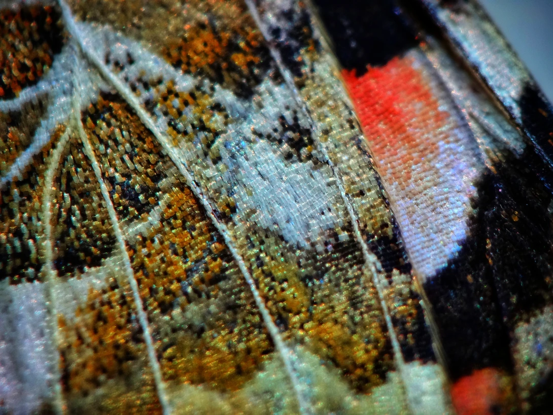View Super budget macro by iyad tawil