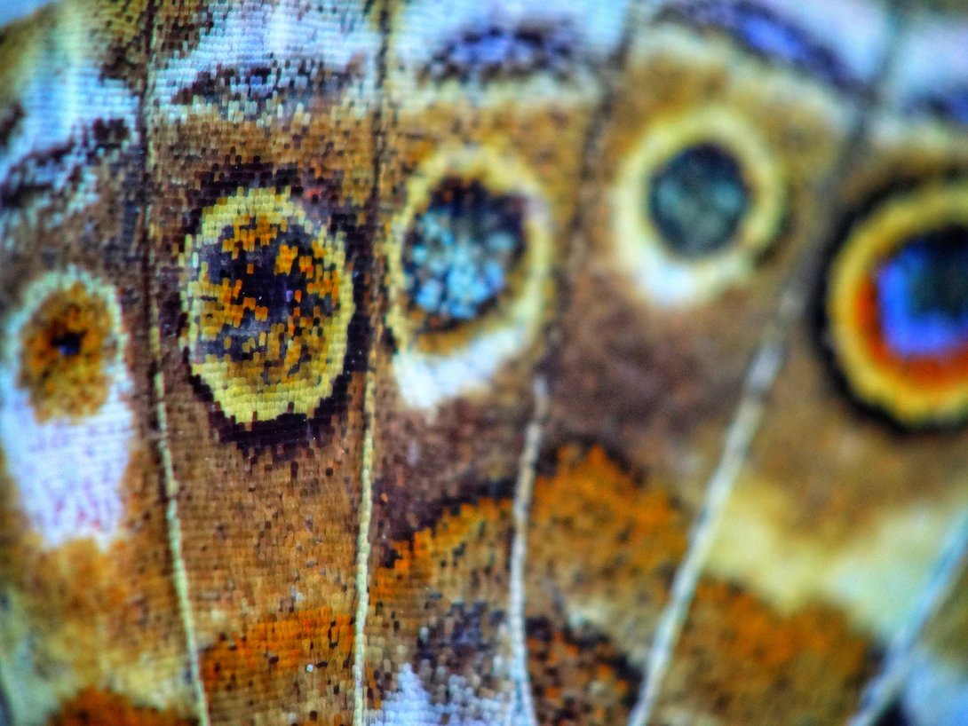 View Super budget macro by iyad tawil