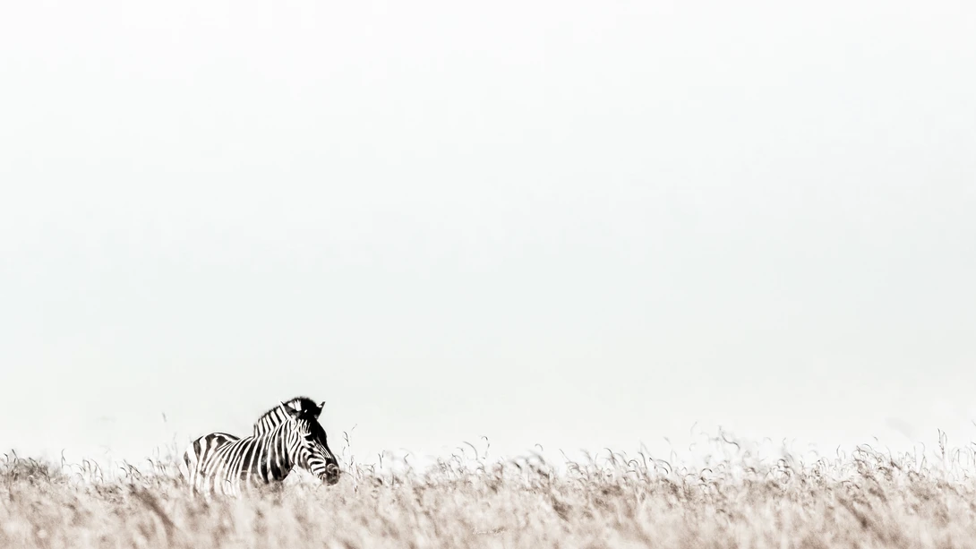 View Heads-up Desaturated by marius van dyk