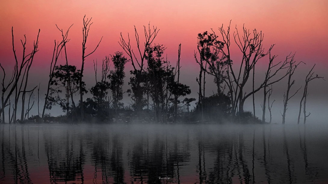 View Misty Morning by marius van dyk