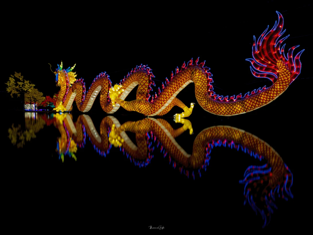View Dragon by marius van dyk