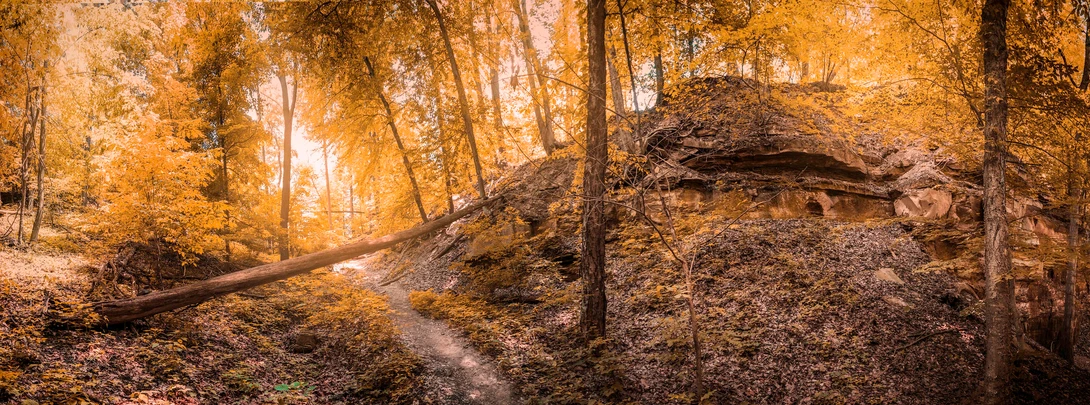 View fall by rami yazgi