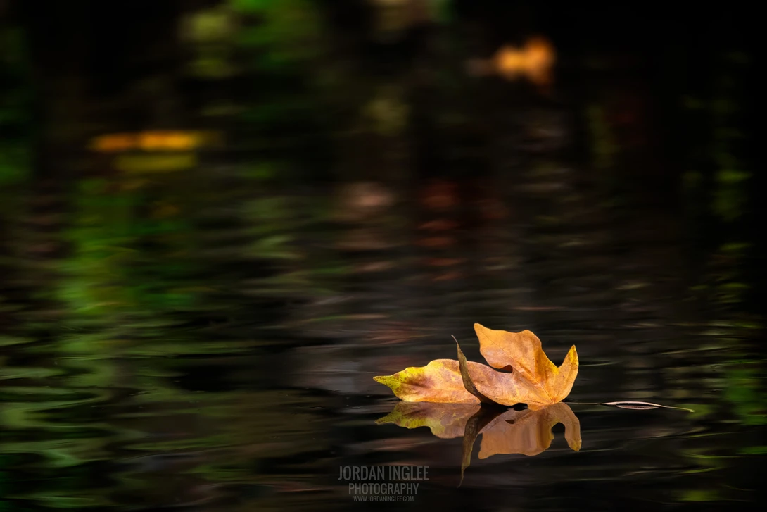 View 12fb9df5911dc9ce0a7ce71d45a33082.jpg by Jordan Inglee