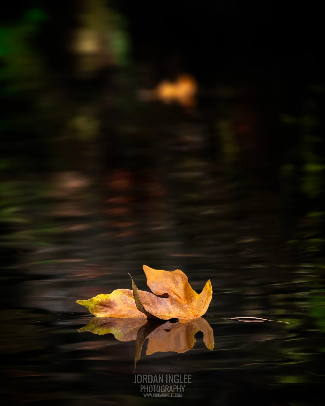 View 7c503d53b071043e05c6bf1dc1731255.jpg by Jordan Inglee
