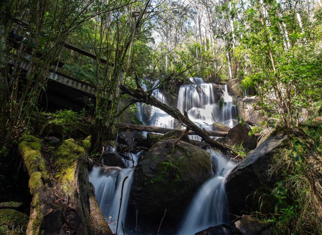 View Toorongo Falls, Noojee by John de Groot